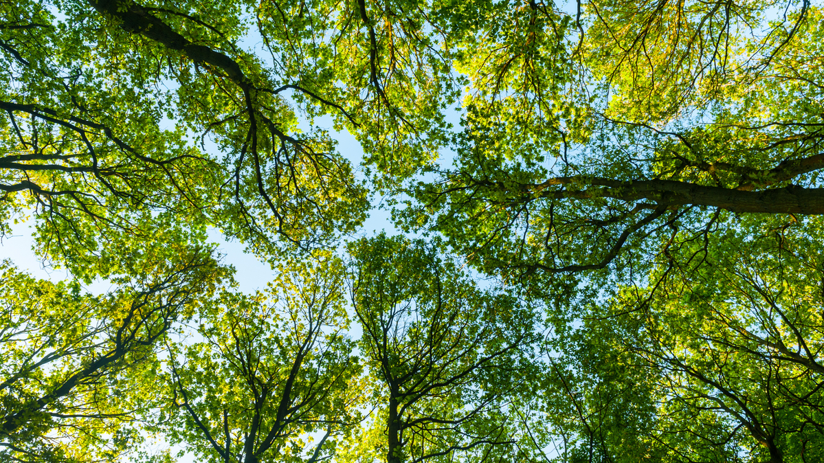 Smarter Energy for a Sustainable Future